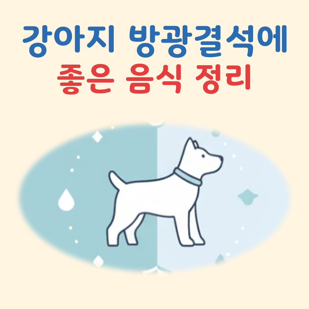 강아지 방광결석에 좋은 음식 대표 이미지