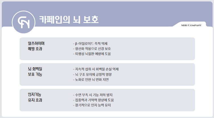 카페인의 뇌 보호 효과와 회백질 유지