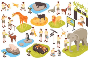 동물행동 비교연구