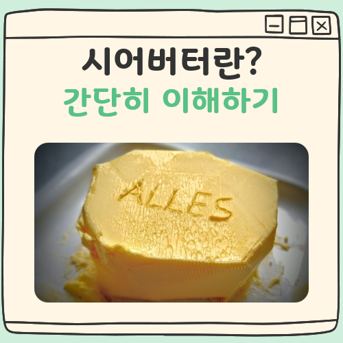시어버터란 대표이미지