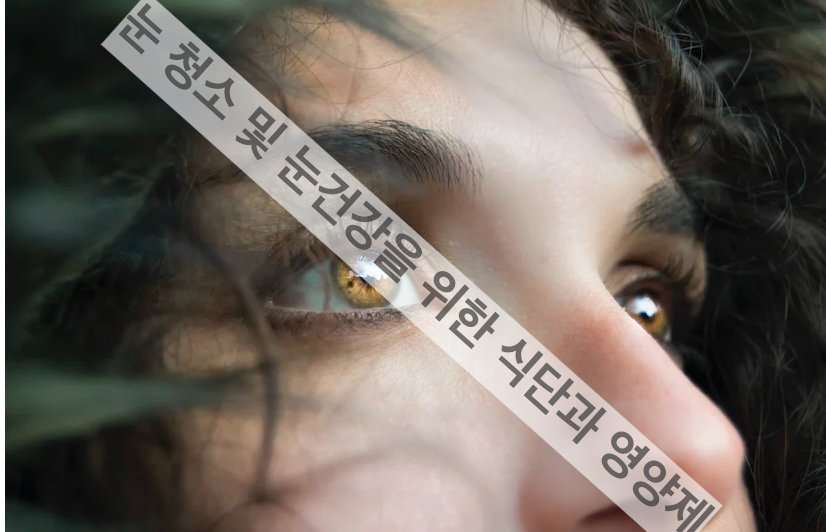 눈 청소 및 눈건강을 위한 식단과 영양제