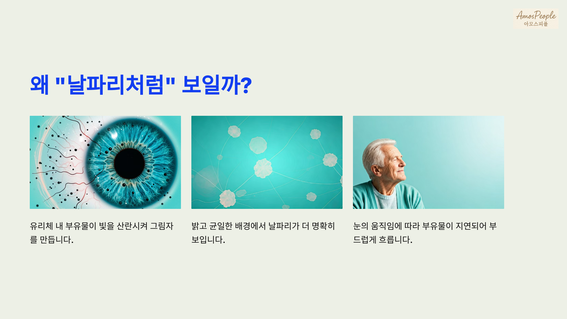 왜 &quot;날파리처럼&quot; 보일까?