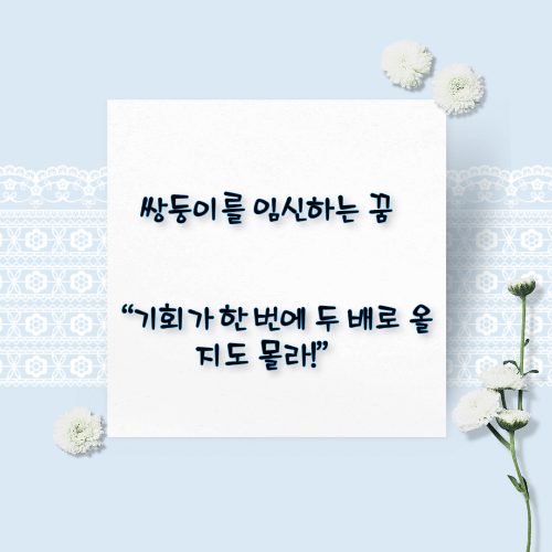 임신하는 꿈해몽