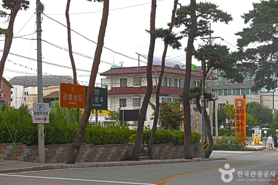 강릉 가볼만한 곳 BEST 10