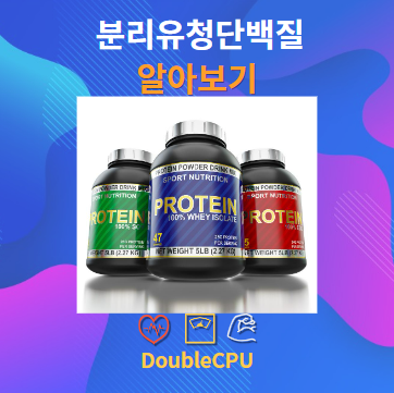 분리유청단백질 알아보기