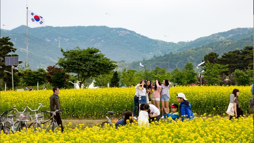 2023.유채꽃 한강예술제.2023년.입장료.가는길.주차장.일정.총정리