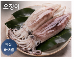 전남 여수 제철 수산물 재근호