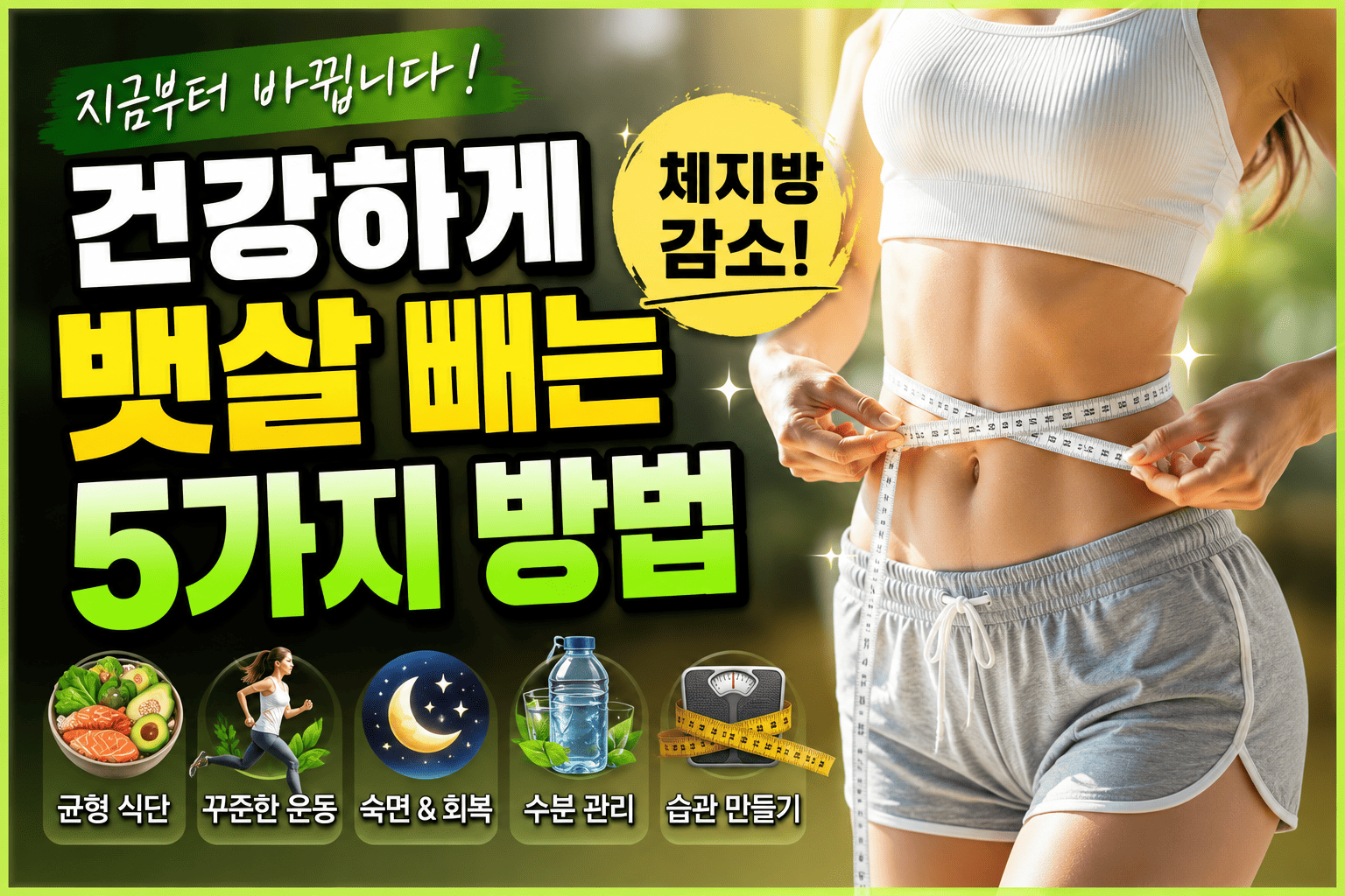건강하게 뱃살 빼기 (체지방감소, 생활습관, 회복)