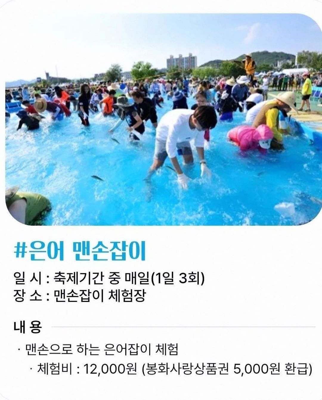 제26회 봉화은어축제 프로그램