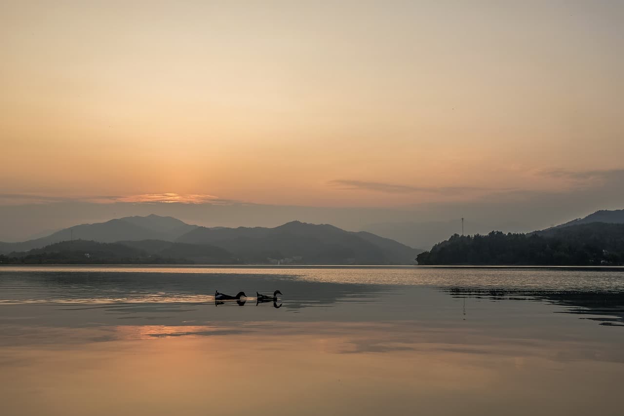 7 Life-Changing Lessons from Rumi on Letting Go: Finding Freedom Through Surrender