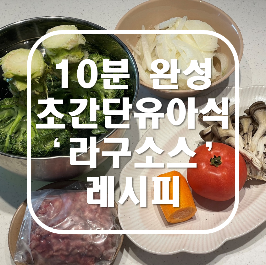 초간단 유아반찬 유아식 라구소스 레시피