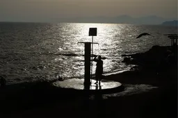 2025 여름 해수욕장 개장 일정 반려견 준비물