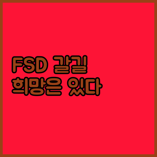애개? 테슬라 FSD, 아직 갈 길 