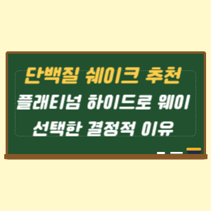 단백질 쉐이크 추천 플래티넘 하이드로 웨이를 선택한 결정적 이유