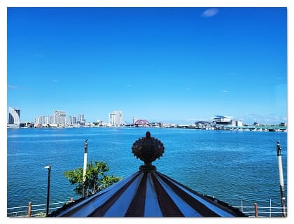 청초수 물회 전경 3