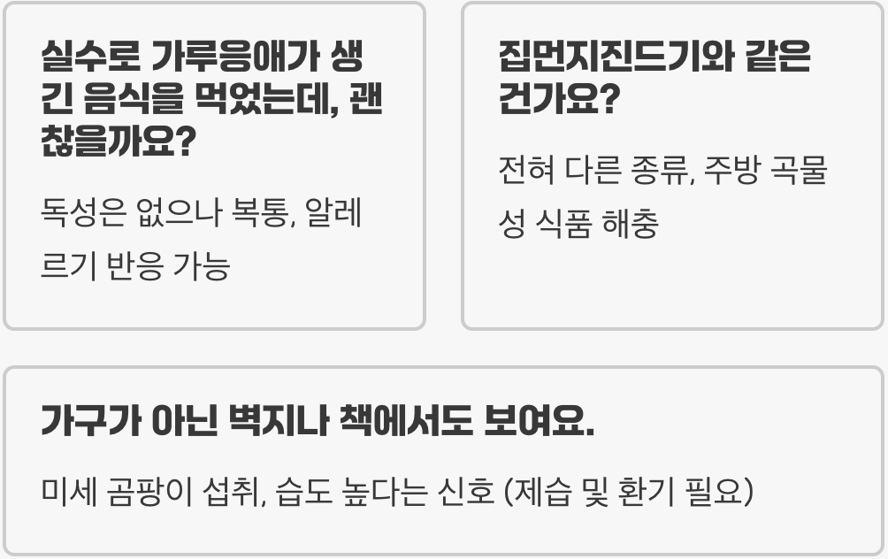 가루응애 완벽 종합 매뉴얼 – 특징, 원인, 피해, 퇴치, 예방까지