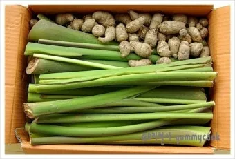 토란대 손질방법 말리는 방법을 정리_25