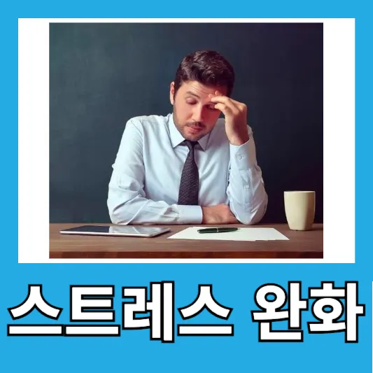 6. 피로 회복 및 스트레스 완화