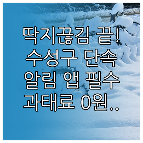 대구 수성구 주정차 단속 알림 통합가..