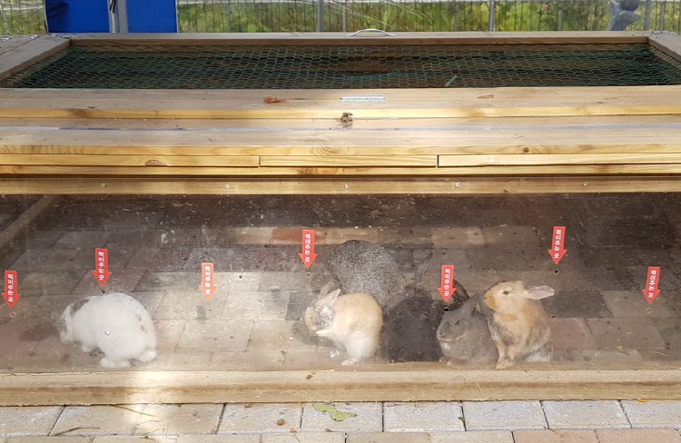 덕평 공룡수목원