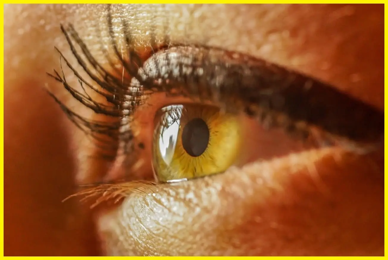 각막염 vs 결막염 차이점 총정리 – 증상, 구별법, 예방법