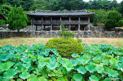 2025 논산딸기축제 논산 종학당