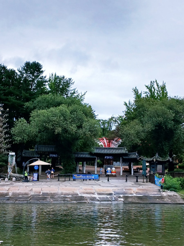 남이섬이 보이다