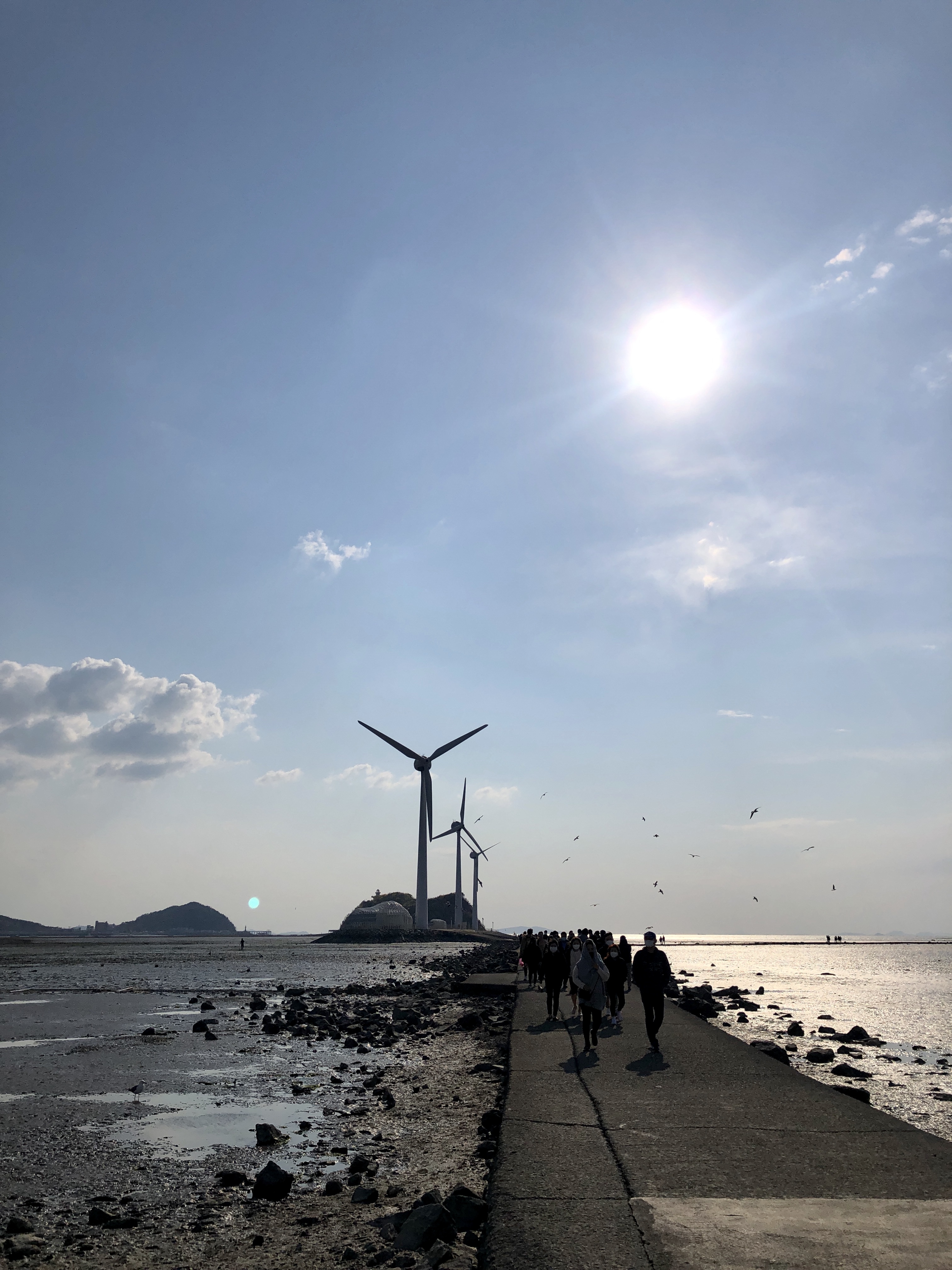 탄도항 바닷길