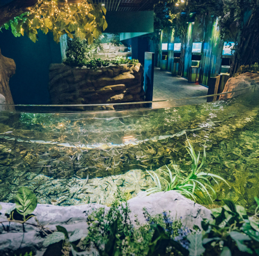 다누리아쿠아리움4