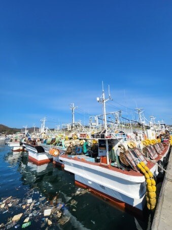 시퍼런-하늘을-배경으로-바닷가에-정박한-수많은-배들