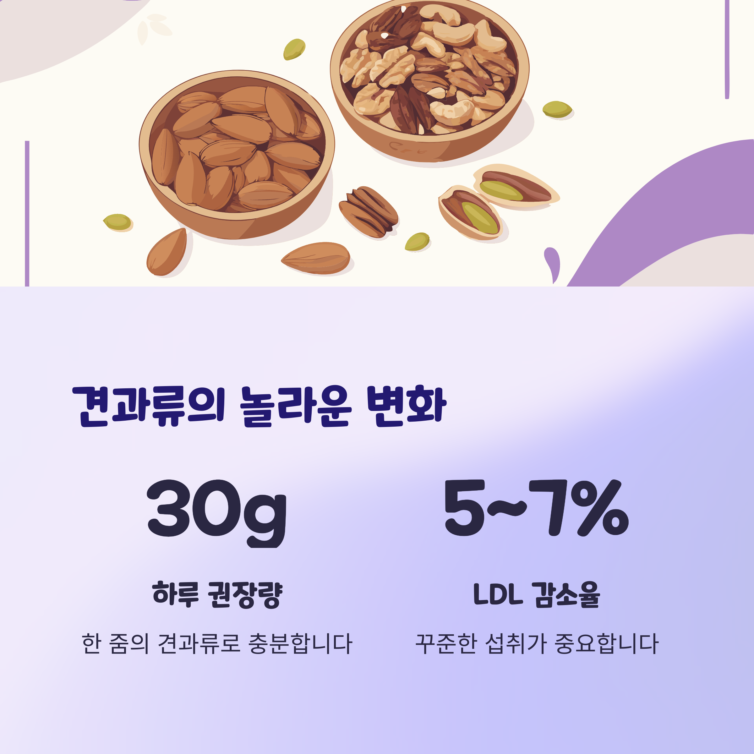 견과류: 하루 한 줌의 습관이 만드는 변화
