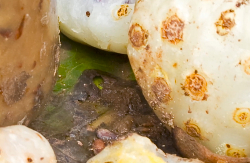 노니 효능 부작용