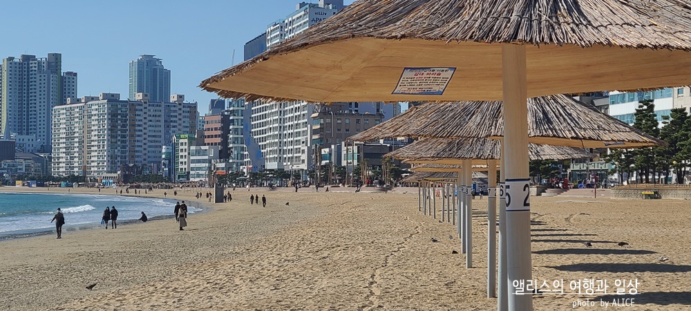 부산 켄트호텔 주변에 가볼만한 곳 광안리 해수욕장