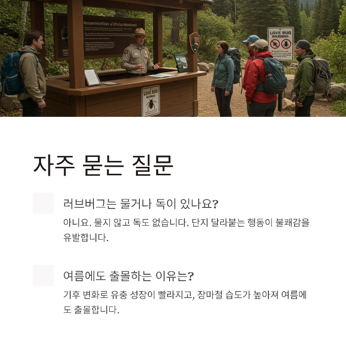 계양산 러브버그 출몰 시기