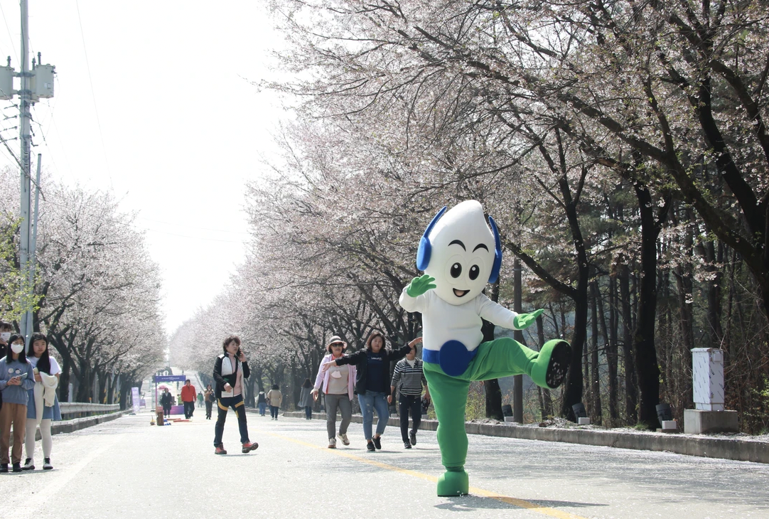 벚꽃 개화시기 2024 축제 일정 및 명소 추천