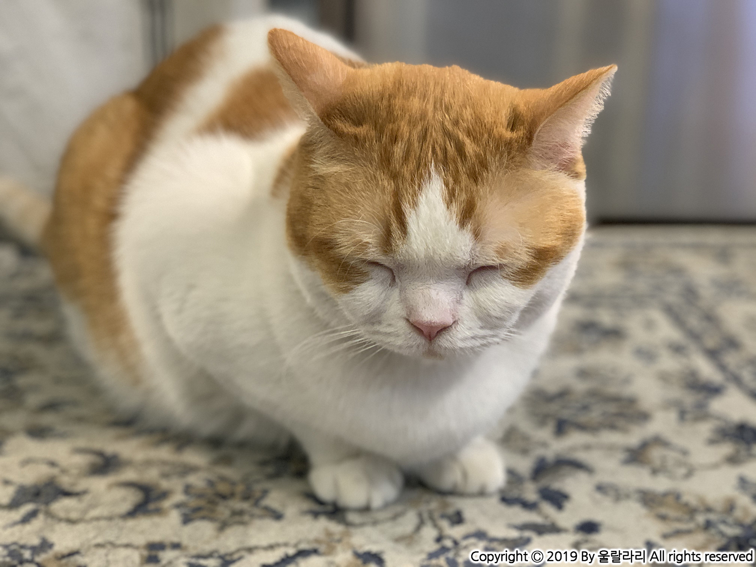 부암동 카페 무네 MUNE