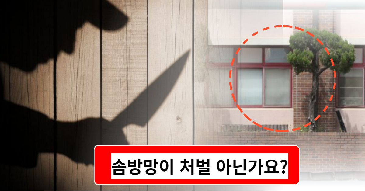 동급생 흉기 찔렸는데 징계가 겨우 이거야