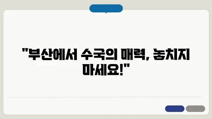6월 수국열전, 부산 태종대 꽃구경 여행