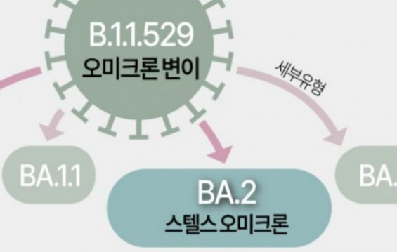 스텔스 오미크론