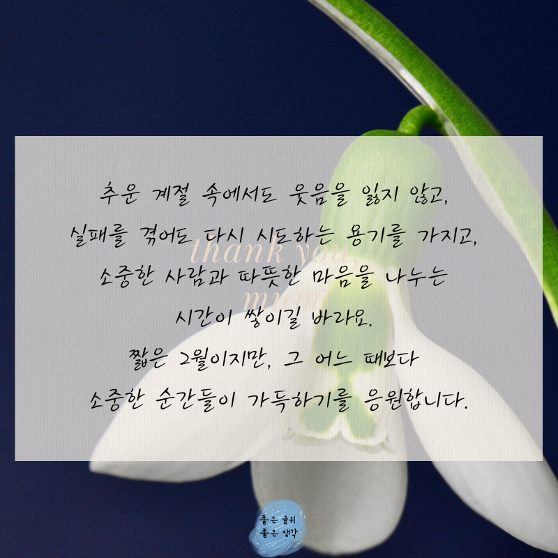 2월 인사말 문구 모음집 이미지 글귀