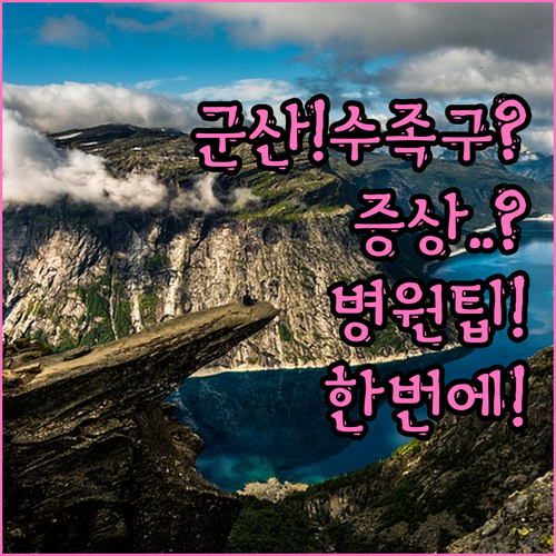 군산 아이 수족구 증상부터 병원 관리..