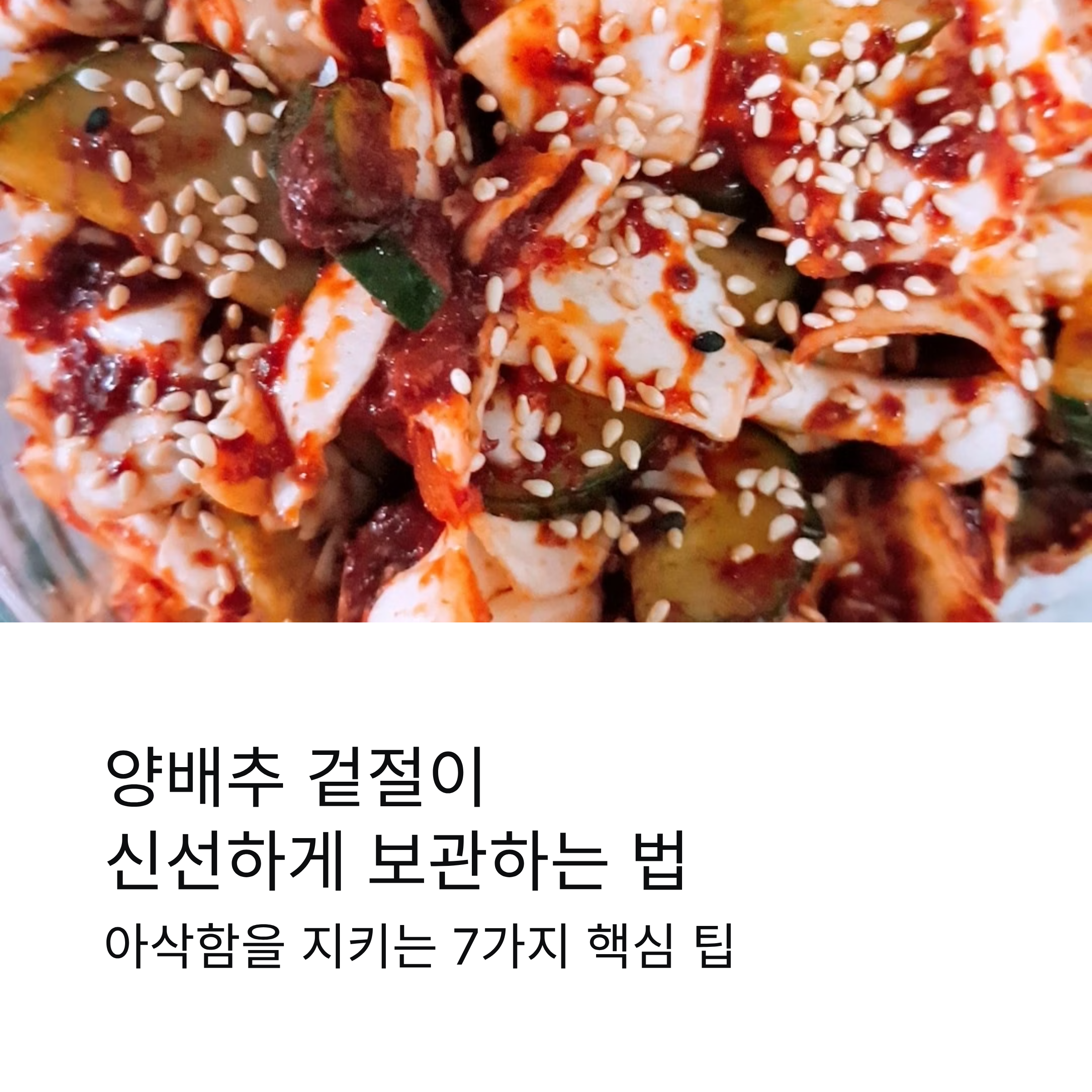 양배추 겉절이 보관과 유통기한, 신선하게 유지하는 방법