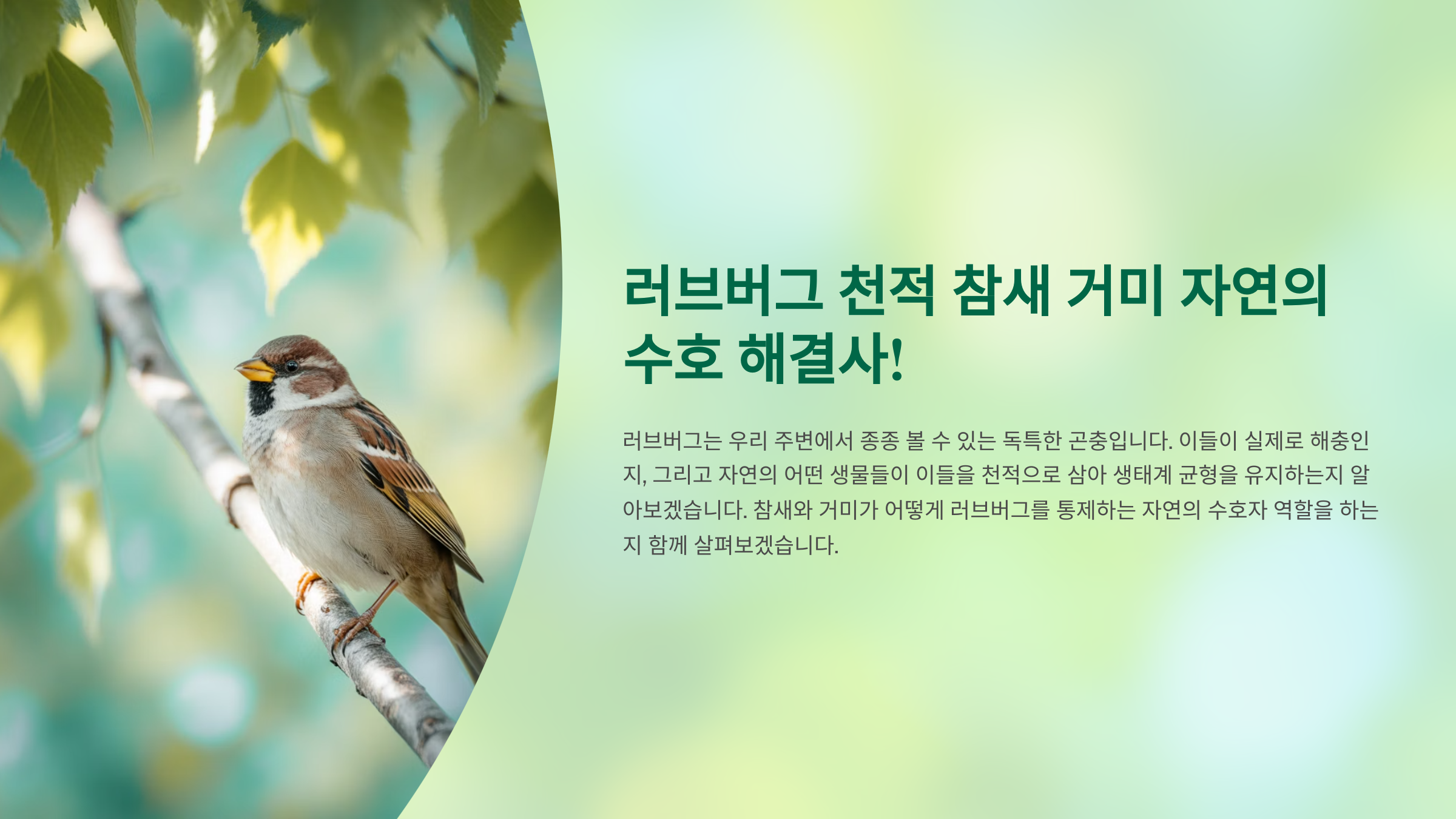 러브버그 천적 참새 거미 자연의 수호 해결사!