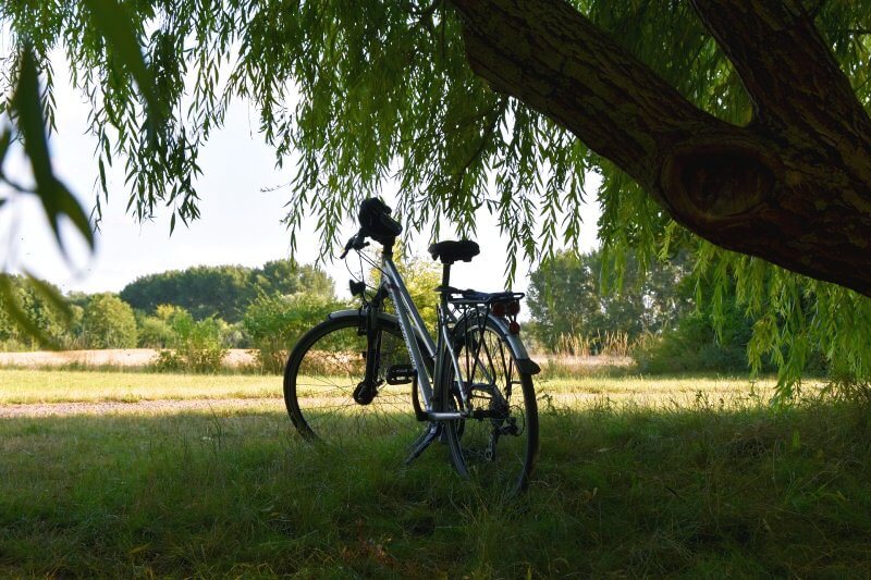 숲속에-세워져있는-자전거-한대