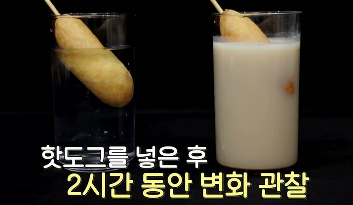 카무트 효소 효능