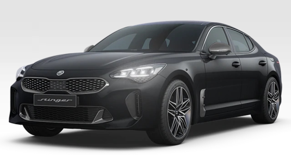 오로라 블랙 퍽( 색상코드 : ABP) 스팅어 마이스터 색상코드 오로라 블랙 퍽( 색상코드 : ABP)