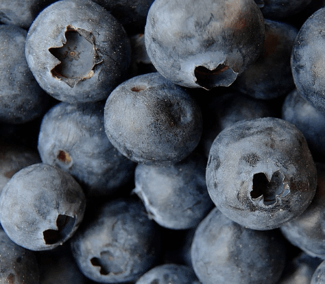 기미에 좋은음식