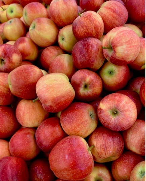 11월 제철 과일 사과 맛 영양 구매 팁