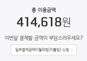 더모아 사용금액