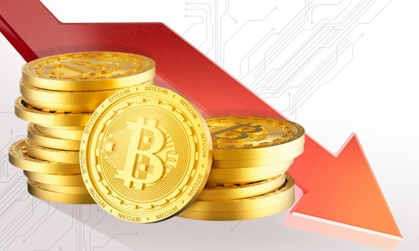 돔향차-돔향차-비트코인
